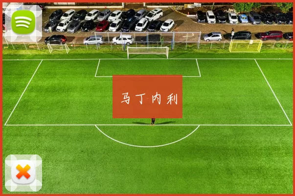 马丁内利